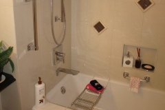 Bathroom Mesa Remodeling